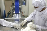 Dịp Tết, đảm bảo không thiếu thuốc Dịp Tết, đảm bảo không thiếu thuốc