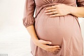Bác sĩ nói về vụ tử tù mang thai từ tinh trùng mua trong trại giam Bác sĩ nói về vụ tử tù mang thai từ tinh trùng mua trong trại giam