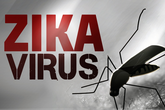 Virus Zika tấn công 7 quốc gia ASEAN Virus Zika tấn công 7 quốc gia ASEAN
