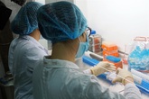 TP Hồ Chí Minh: Một tháng qua, không có trường hợp nào nghi mắc Zika TP Hồ Chí Minh: Một tháng qua, không có trường hợp nào nghi mắc Zika