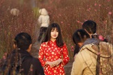 Ngắm dung nhan hotgirl Việt lọt top ảnh ấn tượng năm 2016 của Reuters Ngắm dung nhan hotgirl Việt lọt top ảnh ấn tượng năm 2016 của Reuters