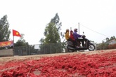 Nổ pháo dịp tết sẽ bị phạt như thế nào? Nổ pháo dịp tết sẽ bị phạt như thế nào?