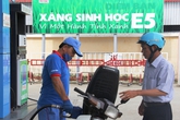 Xăng E5 lại lỗi hẹn thị trường Xăng E5 lại lỗi hẹn thị trường