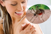 Phụ nữ chưa có thai nhiễm Zika ảnh hưởng thế nào đến đường con cái Phụ nữ chưa có thai nhiễm Zika ảnh hưởng thế nào đến đường con cái