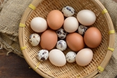 5 sự thật bất ngờ về các loại thực phẩm hàng ngày 5 sự thật bất ngờ về các loại thực phẩm hàng ngày