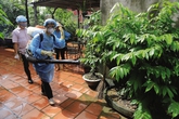 Hà Nội cảnh báo nguy cơ đỉnh dịch sốt xuất huyết thứ 2 Hà Nội cảnh báo nguy cơ đỉnh dịch sốt xuất huyết thứ 2