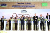 Trang trại bò sữa Organic tiêu chuẩn châu Âu đầu tiên tại Việt Nam được Vinamilk khánh thành tại Lâm Đồng Trang trại bò sữa Organic tiêu chuẩn châu Âu đầu tiên tại Việt Nam được Vinamilk khánh thành tại Lâm Đồng