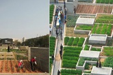 “Hô biến” nhà máy bỏ hoang thành trang trại rau sạch xanh mướt giữa lòng thành phố “Hô biến” nhà máy bỏ hoang thành trang trại rau sạch xanh mướt giữa lòng thành phố
