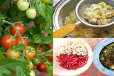 Tự chế 5 loại thuốc trừ sâu thiên nhiên cực hiệu quả, cả năm rau không sâu bệnh Tự chế 5 loại thuốc trừ sâu thiên nhiên cực hiệu quả, cả năm rau không sâu bệnh