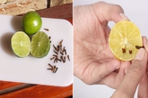 Mẹo "rẻ bèo" đuổi ngay cả đàn muỗi trong nhà chỉ với một quả chanh Mẹo "rẻ bèo" đuổi ngay cả đàn muỗi trong nhà chỉ với một quả chanh