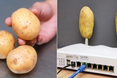 Cả nhà bạn gái "sốc" khi anh chàng sang chơi cầm theo hai củ khoai tây và cắm lên cục wifi Cả nhà bạn gái "sốc" khi anh chàng sang chơi cầm theo hai củ khoai tây và cắm lên cục wifi