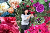 Trăm loài hoa quý hiếm ở "thiên đường mặt đất" của mẹ Việt ở Séc Trăm loài hoa quý hiếm ở "thiên đường mặt đất" của mẹ Việt ở Séc