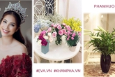 Bất ngờ với tài cắm hoa khéo léo trang trí nhà tuyệt đẹp của hoa hậu Phạm Hương Bất ngờ với tài cắm hoa khéo léo trang trí nhà tuyệt đẹp của hoa hậu Phạm Hương