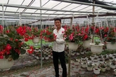 Học ra thất nghiệp, cử nhân đại học tức chí về trồng hoa, lãi 20 triệu/vụ Học ra thất nghiệp, cử nhân đại học tức chí về trồng hoa, lãi 20 triệu/vụ