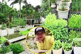 Vườn rau đáng ngưỡng mộ của mẹ Sóc Trăng từng "trồng rau muống 3 tháng chưa được ăn" Vườn rau đáng ngưỡng mộ của mẹ Sóc Trăng từng "trồng rau muống 3 tháng chưa được ăn"
