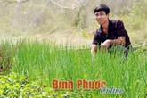 Trồng 2 sào tía tô, kinh giới...lãi 12 triệu/tháng Trồng 2 sào tía tô, kinh giới...lãi 12 triệu/tháng