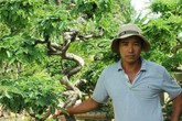 Bỏ buôn bán xe, về làm cây cảnh, độc, lạ, khủng kiếm nửa tỷ đồng mỗi năm Bỏ buôn bán xe, về làm cây cảnh, độc, lạ, khủng kiếm nửa tỷ đồng mỗi năm