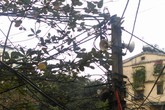 Hà Nội: Người thích, người lo trước việc xem xét bỏ loa phường Hà Nội: Người thích, người lo trước việc xem xét bỏ loa phường
