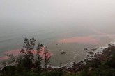Đã "giải mã" dải nước màu đỏ “bí ẩn” ở biển Thừa Thiên – Huế Đã "giải mã" dải nước màu đỏ “bí ẩn” ở biển Thừa Thiên – Huế