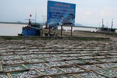 Nước mắm Bà Định Sầm Sơn – “giữ gìn” hồn cốt quê hương Nước mắm Bà Định Sầm Sơn – “giữ gìn” hồn cốt quê hương