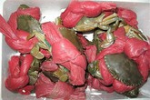 'Thánh' gian dối: Dây buộc nặng gấp đôi cua biển 'Thánh' gian dối: Dây buộc nặng gấp đôi cua biển