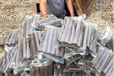 Bắt đối tượng giấu hơn 100kg thuốc nổ trong hầm Bắt đối tượng giấu hơn 100kg thuốc nổ trong hầm