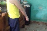 Cháu bé tâm thần bị xâm hại, hiện tâm lý đã tạm ổn định Cháu bé tâm thần bị xâm hại, hiện tâm lý đã tạm ổn định