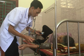 Triển khai Nghị quyết số 20-NQ/TW: Phát triển y học gia đình trong tình hình mới Triển khai Nghị quyết số 20-NQ/TW: Phát triển y học gia đình trong tình hình mới