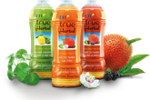 Tập đoàn TH ra mắt “tân binh” TH true Herbal ở kênh siêu thị Tập đoàn TH ra mắt “tân binh” TH true Herbal ở kênh siêu thị