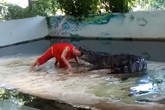 Nghệ sĩ xiếc Thái Lan vẫn đang nguy kịch sau khi bị cá sấu ngoạm đầu lúc đang biểu diễn Nghệ sĩ xiếc Thái Lan vẫn đang nguy kịch sau khi bị cá sấu ngoạm đầu lúc đang biểu diễn