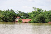 Vùng rốn lũ xứ Thanh ngập chìm trong biển nước Vùng rốn lũ xứ Thanh ngập chìm trong biển nước