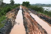 Thị xã Bỉm Sơn (Thanh Hóa): Đê bị “cày xới”, người dân khổ sở Thị xã Bỉm Sơn (Thanh Hóa): Đê bị “cày xới”, người dân khổ sở