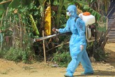 2 học sinh tử vong vì ổ dịch bạch hầu tại trường 2 học sinh tử vong vì ổ dịch bạch hầu tại trường