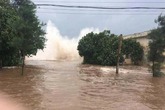 Áp thấp nhiệt đới giật cấp 9, hướng vào bờ biển Quảng Ninh-Hải Phòng Áp thấp nhiệt đới giật cấp 9, hướng vào bờ biển Quảng Ninh-Hải Phòng