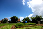 Thâm cung bí sử (104 - 1): Một bức chân dung Thâm cung bí sử (104 - 1): Một bức chân dung