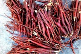 Cẩn thận khi mua phải rễ cây độc "trị" mãn dục nam Cẩn thận khi mua phải rễ cây độc "trị" mãn dục nam