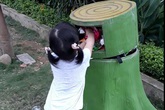 Hành động đẹp của bé 3 tuổi khiến người lớn giật mình Hành động đẹp của bé 3 tuổi khiến người lớn giật mình