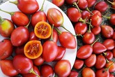 Cà chua 500.000 đồng một cây giống, 50.000 đồng một hạt giống vẫn đua nhau mua về trồng Cà chua 500.000 đồng một cây giống, 50.000 đồng một hạt giống vẫn đua nhau mua về trồng