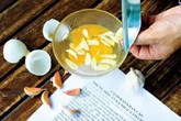 Những món ăn không nên kết hợp với trứng Những món ăn không nên kết hợp với trứng