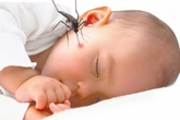 Cách nhận biết sớm trẻ sốt xuất huyết Cách nhận biết sớm trẻ sốt xuất huyết