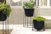 Những khung cửa sổ đẹp hút hồn nhờ chậu cây đầy sức sống Những khung cửa sổ đẹp hút hồn nhờ chậu cây đầy sức sống