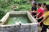 Người cha đổ gục khi thấy hai con nhỏ chết đuối trong bể nước Người cha đổ gục khi thấy hai con nhỏ chết đuối trong bể nước