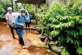 Dịch sốt xuất huyết “báo động đỏ” vì mưa kéo dài Dịch sốt xuất huyết “báo động đỏ” vì mưa kéo dài