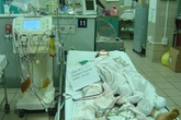 Những điều “nằm lòng” để tránh ngộ độc nấm mùa xuân Những điều “nằm lòng” để tránh ngộ độc nấm mùa xuân