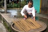 Quảng Bình: Làng hương trầm nhộn nhịp vào vụ Tết Quảng Bình: Làng hương trầm nhộn nhịp vào vụ Tết