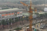 TP Hà Nội: Dân hoang mang vì “tử thần” rình rập trên đầu TP Hà Nội: Dân hoang mang vì “tử thần” rình rập trên đầu