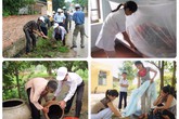 Coi thường sốt xuất huyết, người lớn cũng tử vong Coi thường sốt xuất huyết, người lớn cũng tử vong