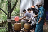 TP Hồ Chí Minh: Số ca mắc sốt xuất huyết giảm, người tử vong lại tăng TP Hồ Chí Minh: Số ca mắc sốt xuất huyết giảm, người tử vong lại tăng