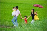 Giải pháp nâng cao chất lượng hôn nhân gia đình Việt Giải pháp nâng cao chất lượng hôn nhân gia đình Việt