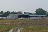 Tiên Lữ (Hưng Yên): Đất nông nghiệp bị chiếm dụng tràn lan Tiên Lữ (Hưng Yên): Đất nông nghiệp bị chiếm dụng tràn lan
